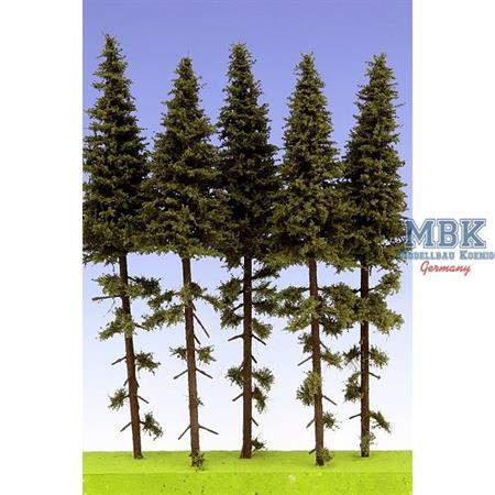 Fichten / Spruce w/ Trunk 18-22 cm Hochstamm 5x