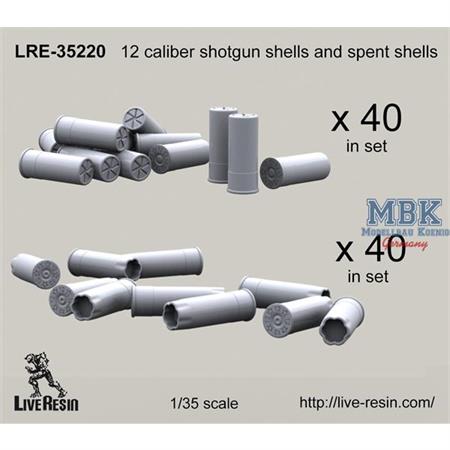 12 caliber shells and spent shells