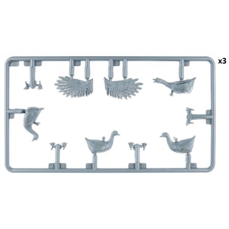Ducks & Geese
