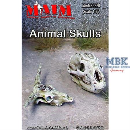 Tierschädel/ Animal Skulls (2 Stück)