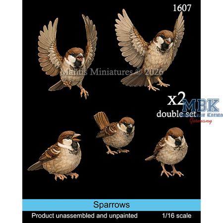 Sparrows