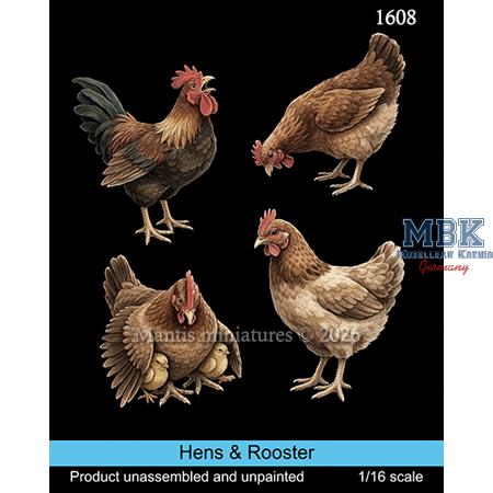 Hens & Rooster