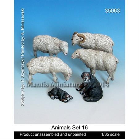 Animals - Set 16
