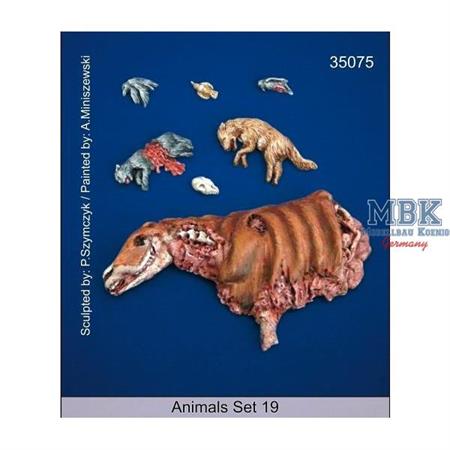 Animals - Set 19
