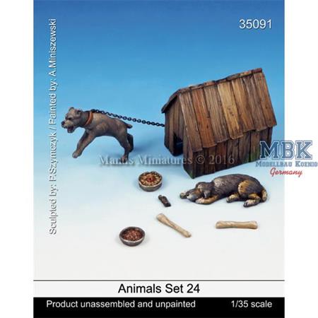 Animals - Set 24