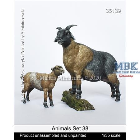 Animals Set 38