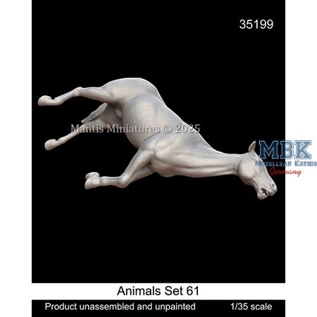 Animals Set 61