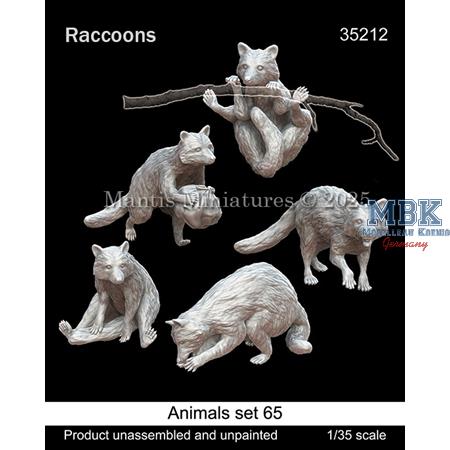 Animals Set 65
