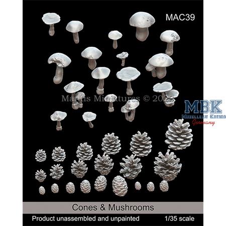 Cones & Mushrooms