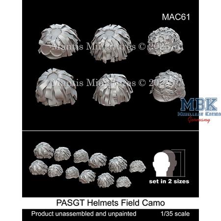 PASGT Helmets Field Camo