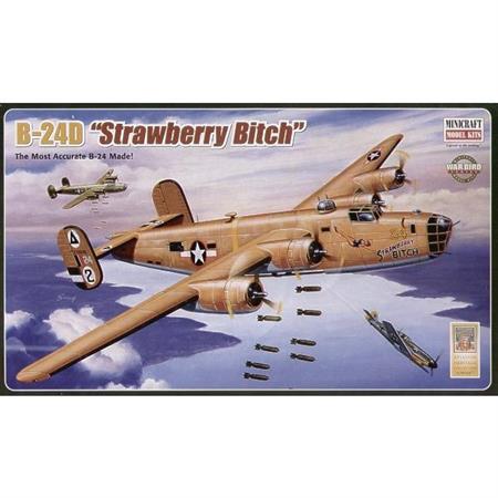 Consolidated B-24D Liberator 'Strawberry Bitch'