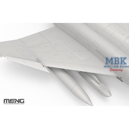 McDonnell Douglas F-4E / 2020 Terminator (TAF)