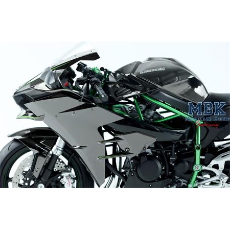 Kawasaki Ninja H2TM (Pre-colored Edition) 1:9