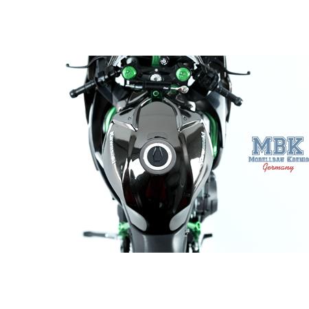 Kawasaki Ninja H2TM (Pre-colored Edition) 1:9