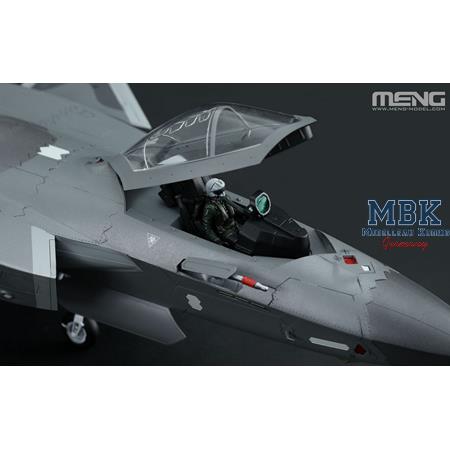 Chinese Chengdu J-20 Stealth Fighter (Beast Mode)