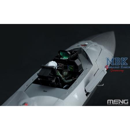 Chinese Chengdu J-20 Stealth Fighter (Beast Mode)