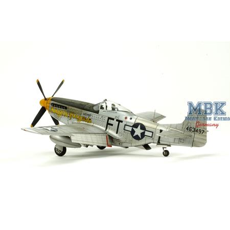 North American P-51D Mustang "Yellow Nose"