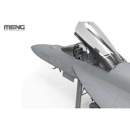 Boeing F/A-18E Super Hornet "Golden Dragons"
