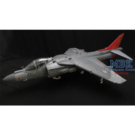 AV-8B Harrier II  in 1:18