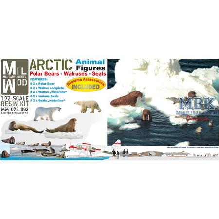 Arctic Animals - Polar Bears - Walrusses - Seals