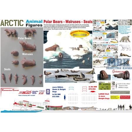 Arctic Animals - Polar Bears - Walrusses - Seals
