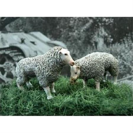 2 Schaafe, set of 2 sheeps 1:35