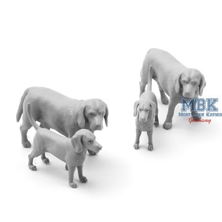 German Beagles 1:35