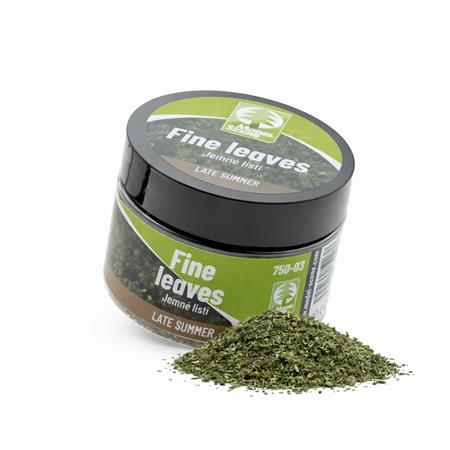 Fine leaves-late summer / Blätter Spätsommer