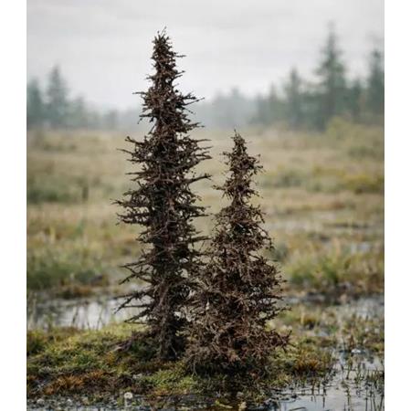 Abgestorbene Fichten / Dead Spruce Trees (2 pcs.)