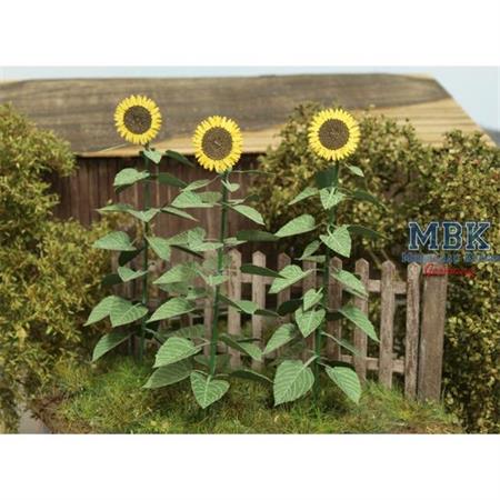 Sonnenblumen / Sunflowers (1:35)
