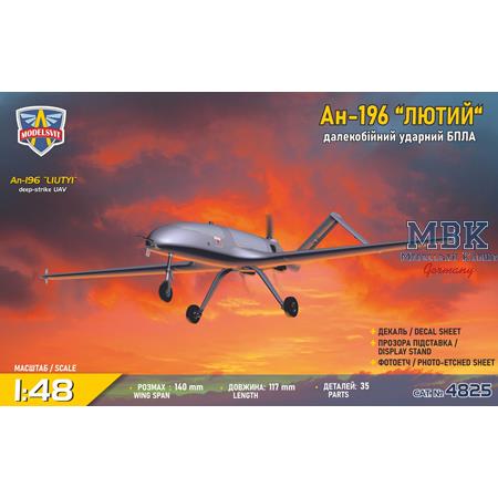 An-196 Liutyi deep-strike UAV