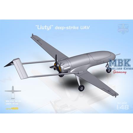 An-196 Liutyi deep-strike UAV