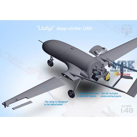 An-196 Liutyi deep-strike UAV