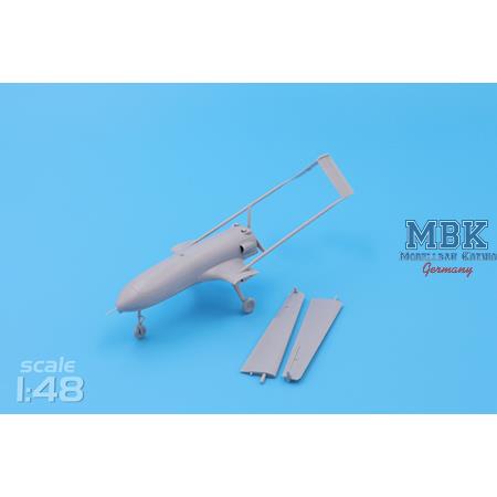 An-196 Liutyi deep-strike UAV