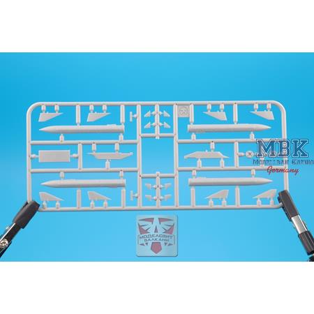 Mirage G8.02 experimental fighter
