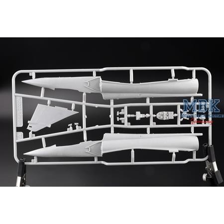 Mirage 2000 N with ASMP missile