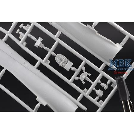 Mirage 2000 N with ASMP missile