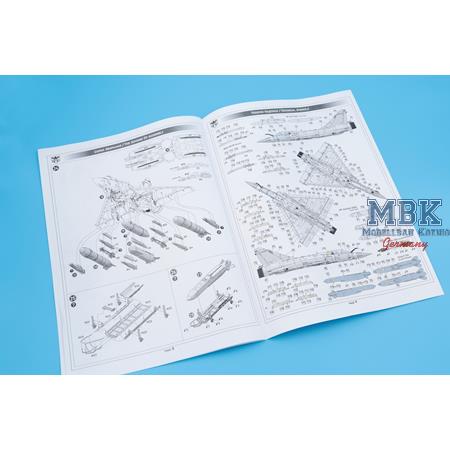 Mirage 2000-5F jet fighter (in ZSU service) Mirage 2000-5F jet fighter (in ZSU service)