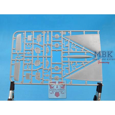 Mirage IIIE/EZ fighter-bomber