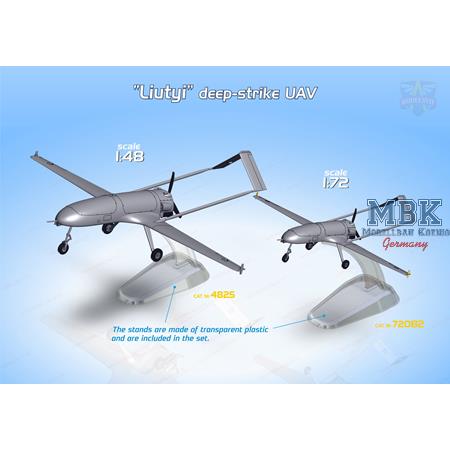 An-196 Liutyi deep-strike UAV