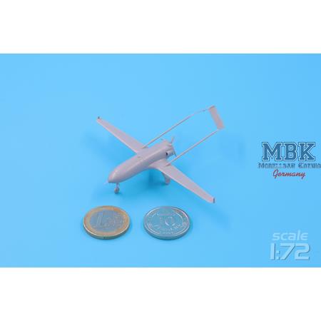 An-196 Liutyi deep-strike UAV