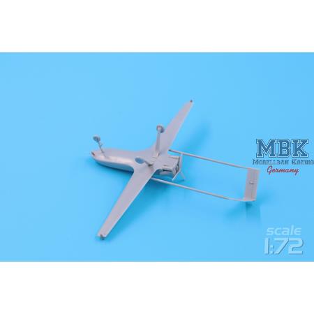 An-196 Liutyi deep-strike UAV