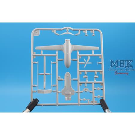 An-196 Liutyi deep-strike UAV