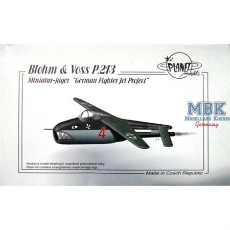 Blohm & Voss P.213