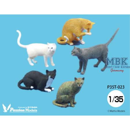 1/35 Cats for cat lovers