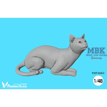 1/35 Cats for cat lovers