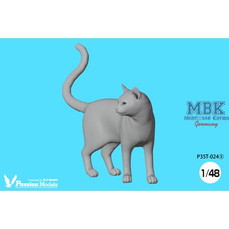 1/35 Cats for cat lovers