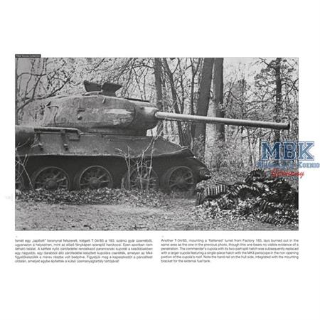 T-34 on the Battlefield 2 - WW2 Photobook #17