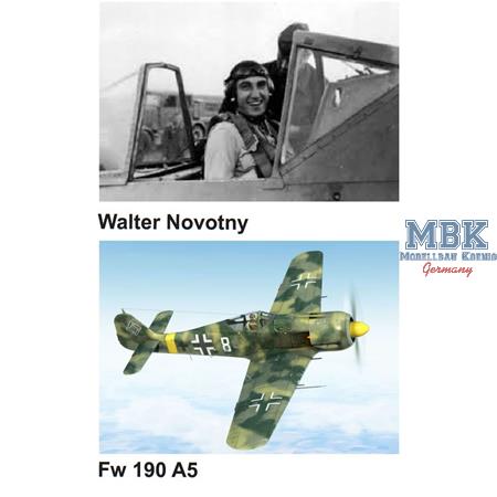 Walter Nowonty FW-190 A5 Limited Special