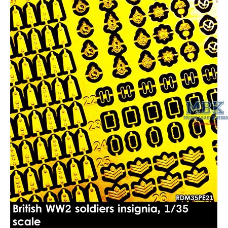 British WWII Soldiers Insignia #1